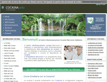 Tablet Screenshot of cocaina.info